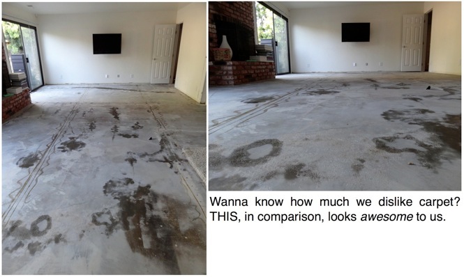 Tackling the Floor! (and....The Skunks Come Out at Night)